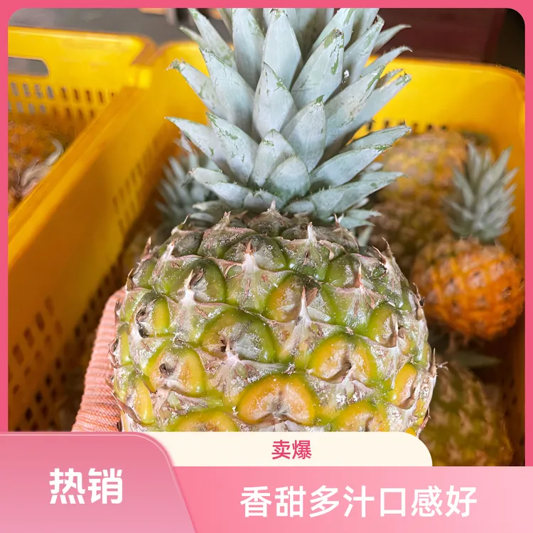 海南芒果凤梨树上自然成熟脆甜多汁，应季自带芒果香味 京东或顺丰