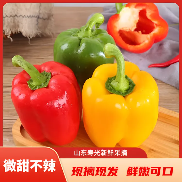 山东五彩甜椒水果辣椒维生素彩椒生吃水果彩椒蔬菜彩椒蔬菜