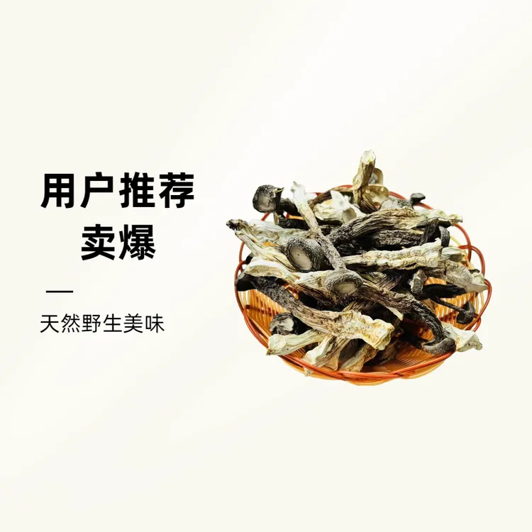 高山鹿茸菇干货整根干净无硫炒菜炖汤营养美味