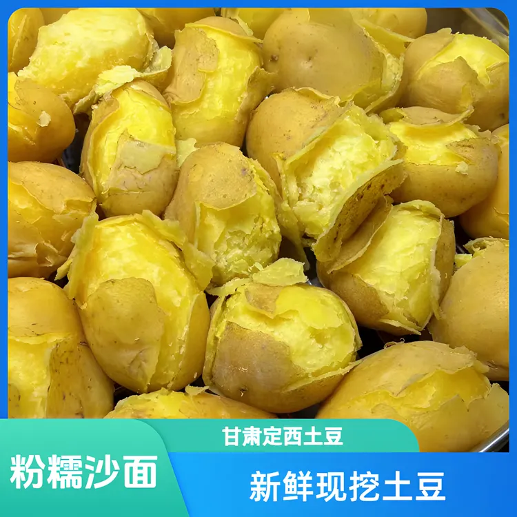 甘肃定西新鲜现挖土豆沙面黄心粉糯土豆老品种洋芋马铃薯5斤9斤装