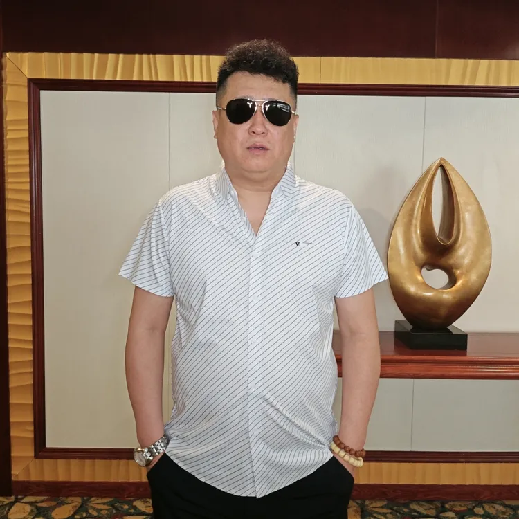 加肥加大条纹夏季男士大码时尚百搭商务翻领商务休闲男半袖衬衫TY