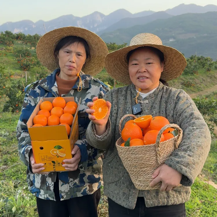 【老潘专属】重庆巫山红美人柑橘 正宗爱媛28号 鲜甜多汁 现摘现发