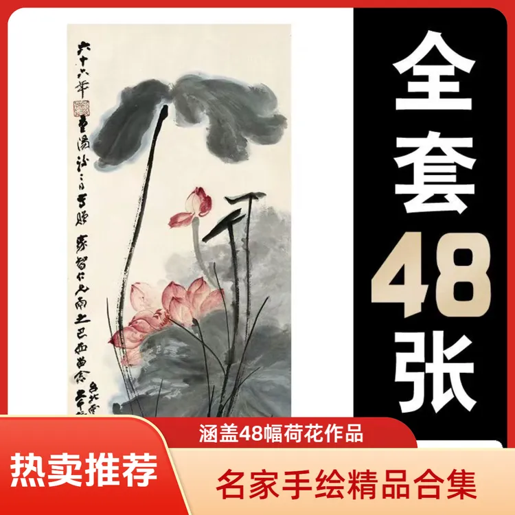 国画临摹卡名家手绘合集荷花篇中国风绘画入门艺术教学全套48幅