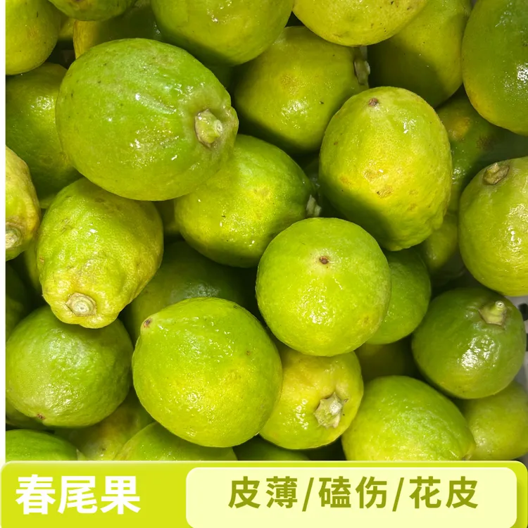 欧小甜特价二级-香水柠檬次二级现摘果园直发爆香无籽奶茶店专用