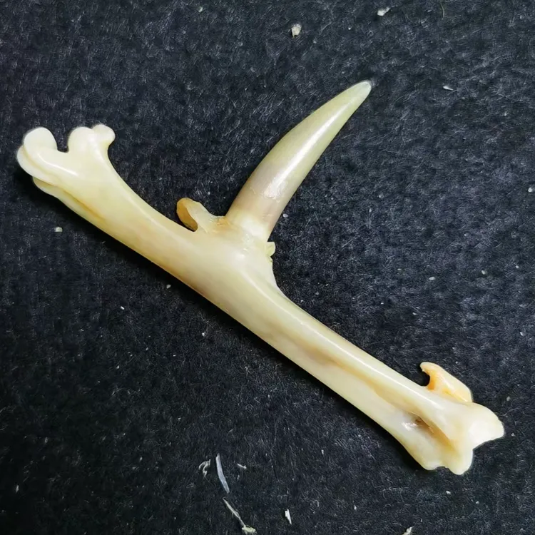 文玩鸡爪骨手把件