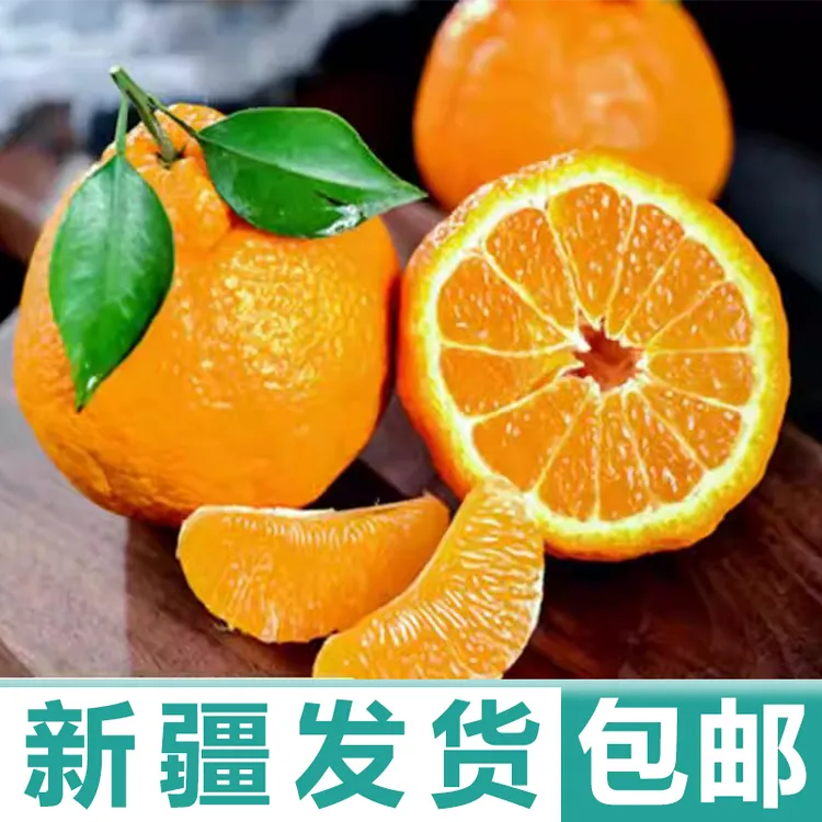 只发新疆正宗不知火丑橘子酸爽丑八怪新鲜水果桔子应季手剥橙水果