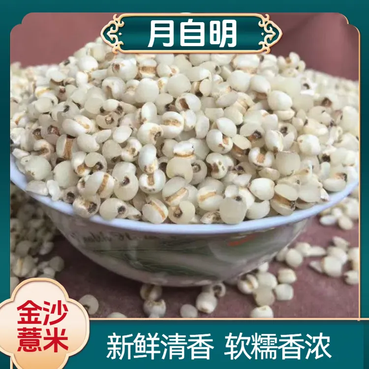 【月自明】 金沙薏米 新鲜清香 软糯香浓 泡水煮粥