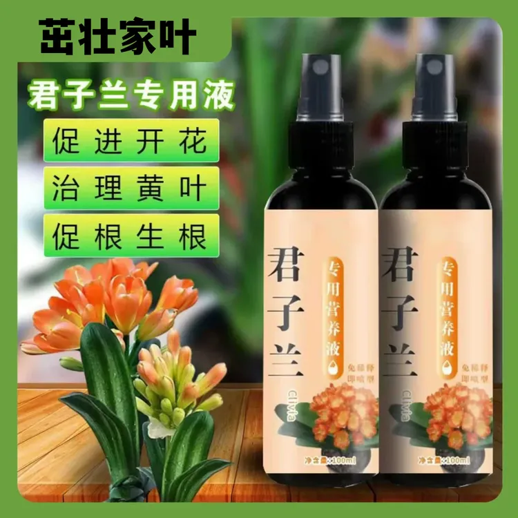君子兰促箭剂免稀释专用营养液促箭促开花植物花芽分化素