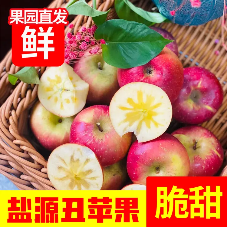 大凉山盐源苹果当季新鲜现摘脆甜水果香甜多汁不打农药 品质保障