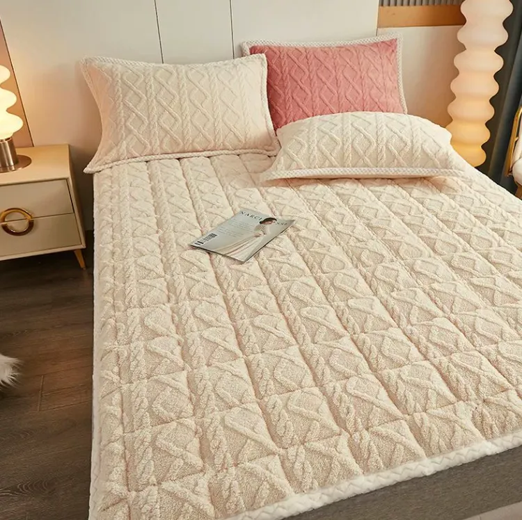 2025新款秋冬绒床单纯色塔芙蓉两件套学生宿舍床单人上下铺家用