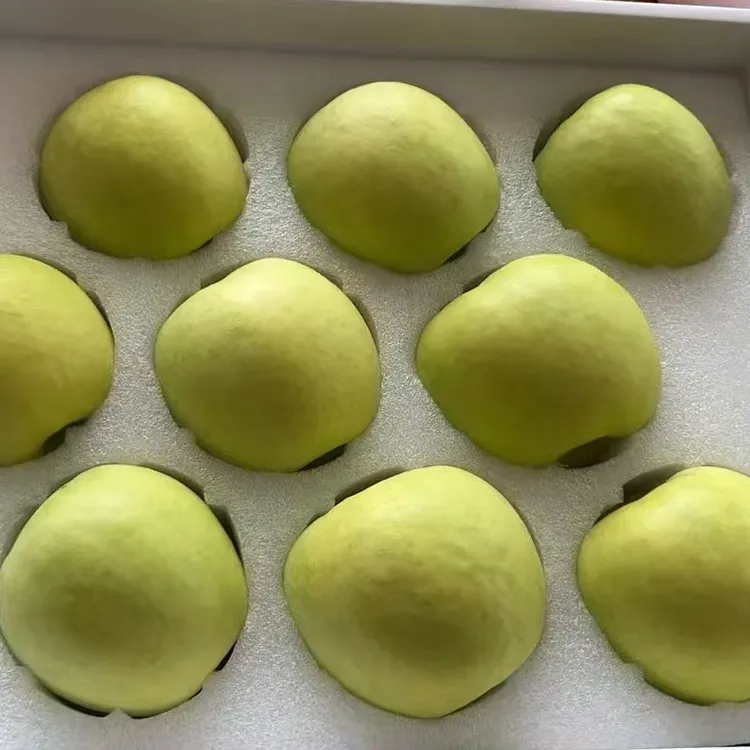 陕西白水苹果【瑞雪】12枚精品礼盒装新鲜脆甜多汁新鲜现摘生态种植