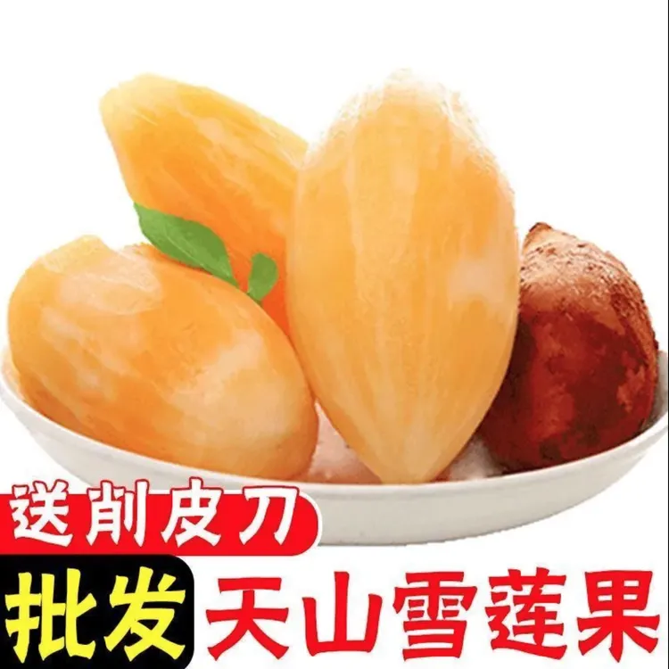 《25年头茬》云南正宗雪莲果当季新鲜清甜多汁孕妇老人适宜新鲜水果
