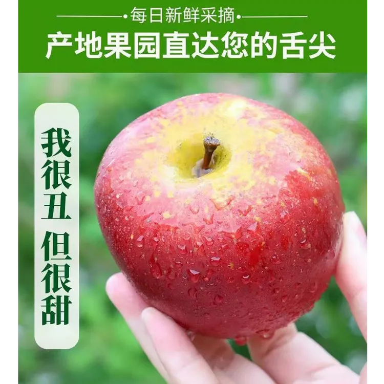 2025正宗云南昭通高原糖心丑苹果现摘现发脆甜多汁9分甜1分果酸