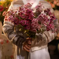 石竹花 复古风格 外贸款仿真花 餐桌花 轻奢凤