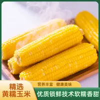 地头东家们的808品种东北糯玉米