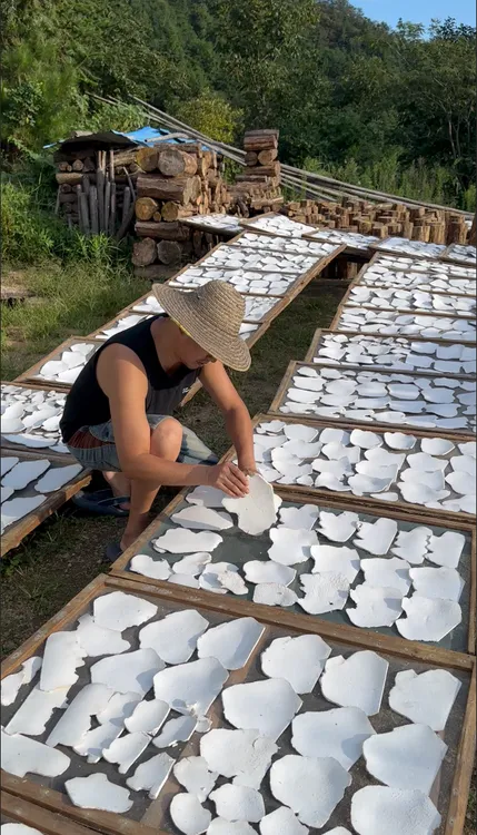 岳西茯苓甄选产地直销正宗生切生晒无硫大别山茯苓片四神汤500克