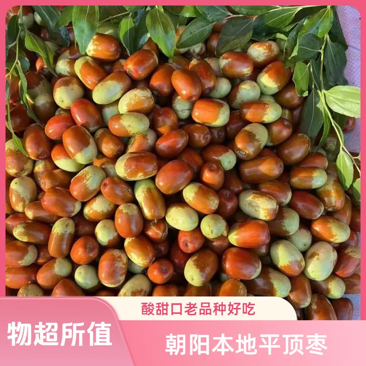 朝阳孙家湾大枣新鲜应季水果现摘现发酸甜口老品种好吃京东快递