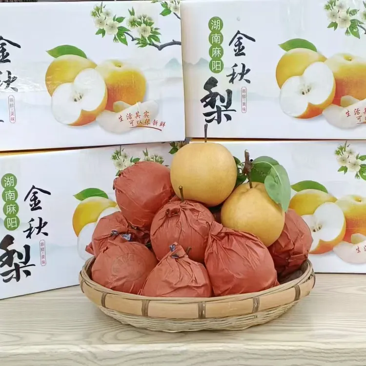 寿乡麻阳金秋梨10斤礼盒装 源头产地现摘现发