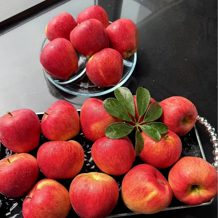 【正宗凉山盐源冰糖心丑苹果】2025新果甜苹果现摘先发脆甜糖心苹果