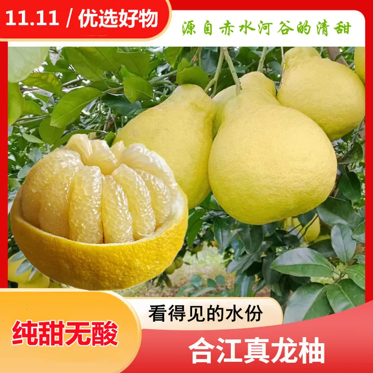 正宗合江真龙柚子纯甜无酸天然种植健康非沙田柚果园新鲜应季
