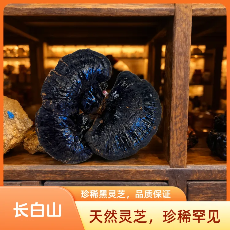 长白山黑灵芝东北灵芝干货林芝正宗泡酒煲汤泡水整朵产地正品人参