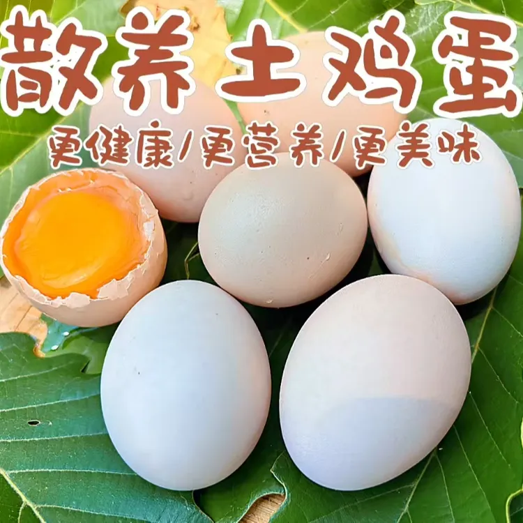 高营养新鲜深山散养土鸡蛋