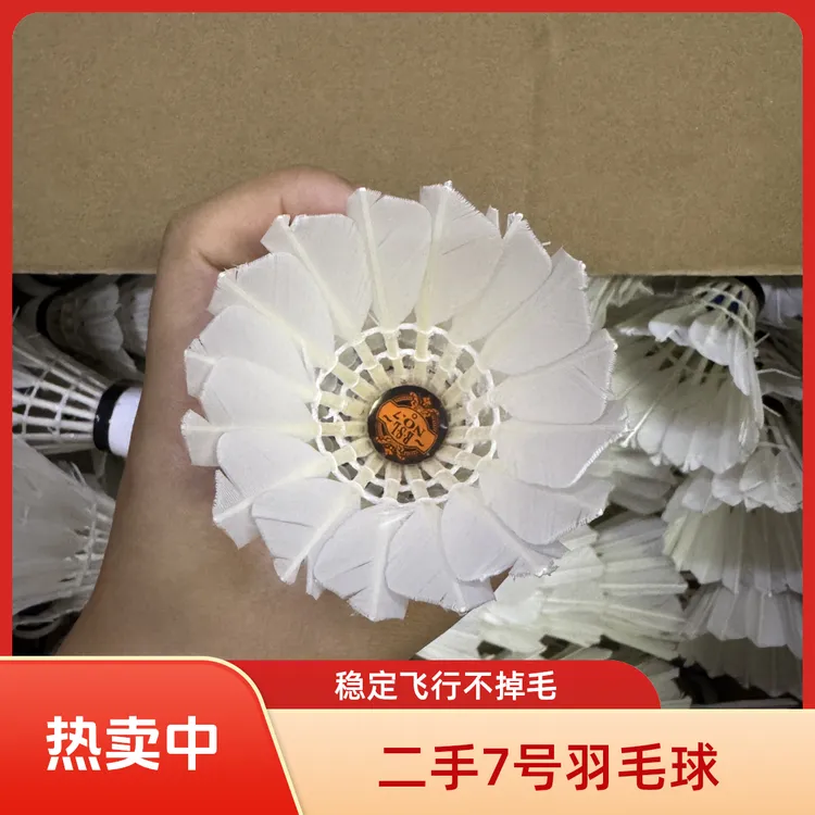 二手羽毛球RSL6号7号 不断毛飞行稳定 一桶打一晚 新手入门闭眼入