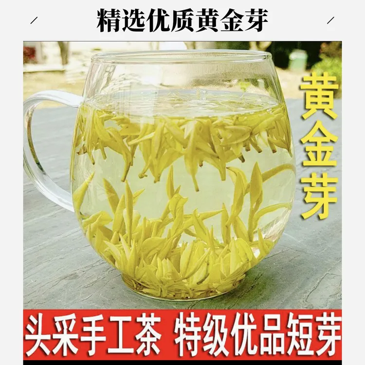 茶汁女人c头采手工茶黄金芽安吉白茶