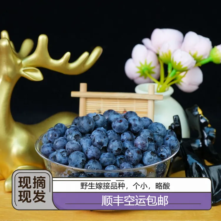 小兴安岭蓝莓1.8斤【顺丰包邮（黑龙江省内顺丰快运，省外顺丰空运）】
