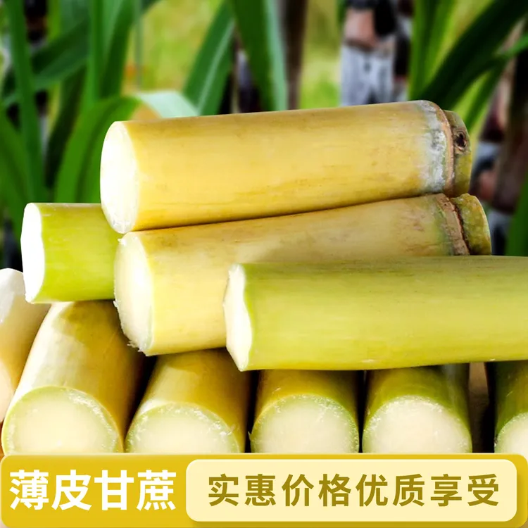 ABC黄金甘蔗新鲜现砍应季脆甜多汁黄皮薄皮清甜产地直发黄金