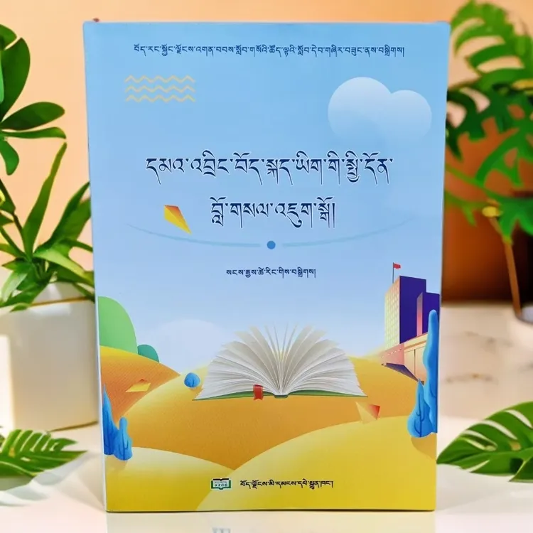 新编初中藏语文复习提纲。角落