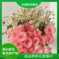 颜花【戴安娜+洋甘菊】云南鲜花基地直发两单升级顺丰/空运