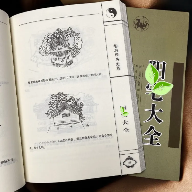 住宅参考大全书籍洞悉宅子经典 摘要堪舆全册珍藏住宅好书分享