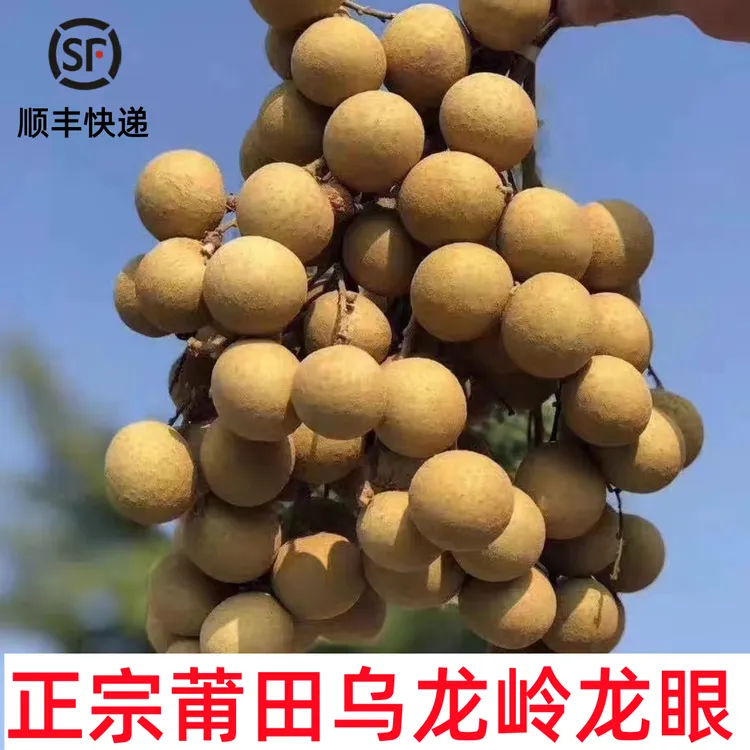 莆田龙眼礼盒装大果肉厚果园直发货