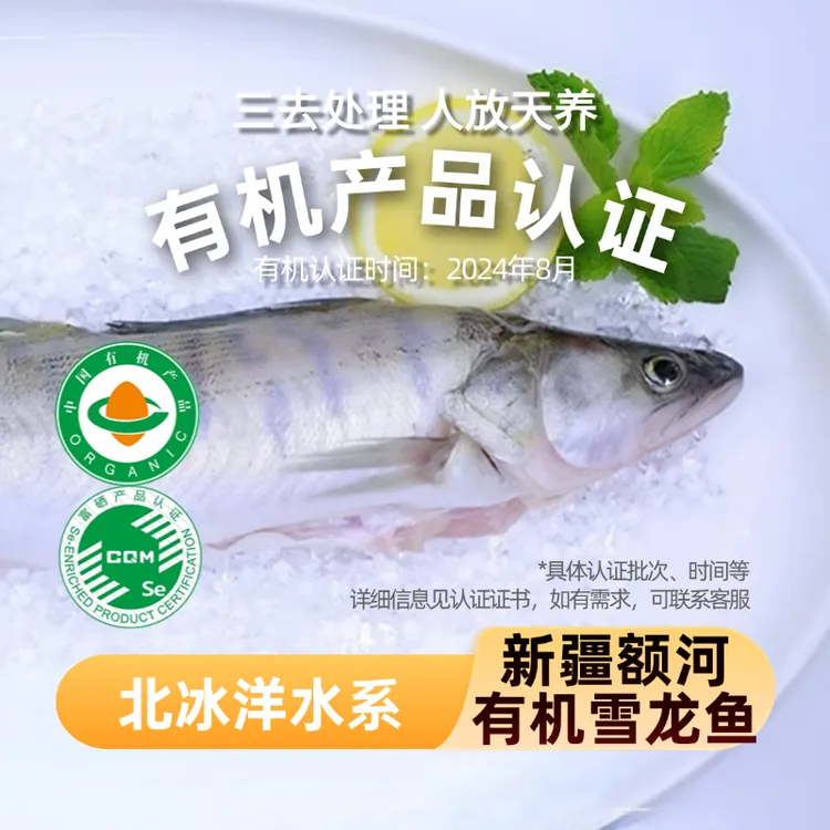 新疆天山雪龙鱼3条无污染有机富硒冰川水