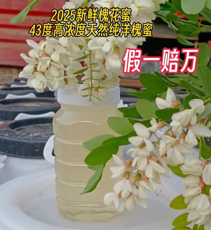 天然高浓度正宗新鲜纯洋槐蜜(全封盖自然酿造成熟原蜜)蜂场直销