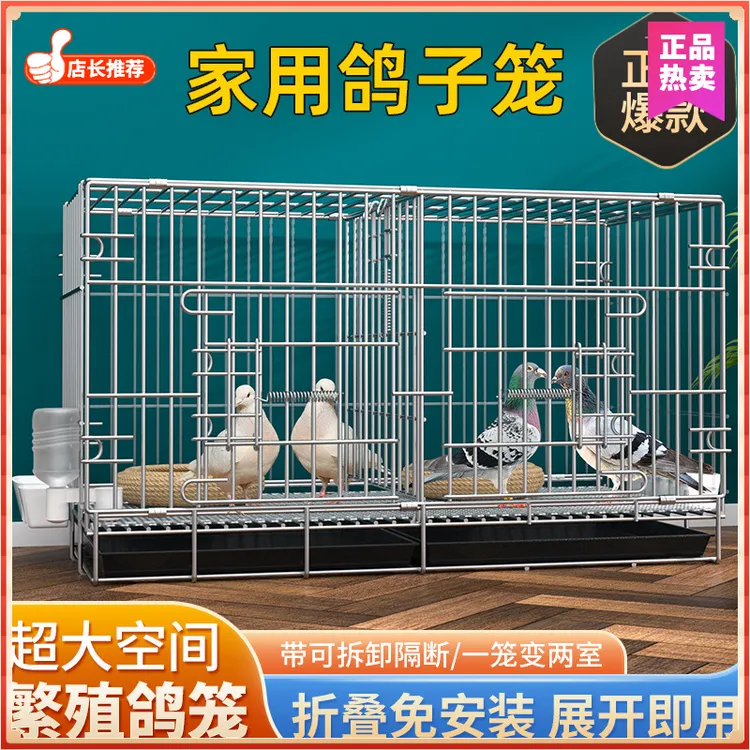 鸽子笼家用养殖笼鸽子大号鸽子笼配对笼家用带隔断繁殖养殖鸽笼清