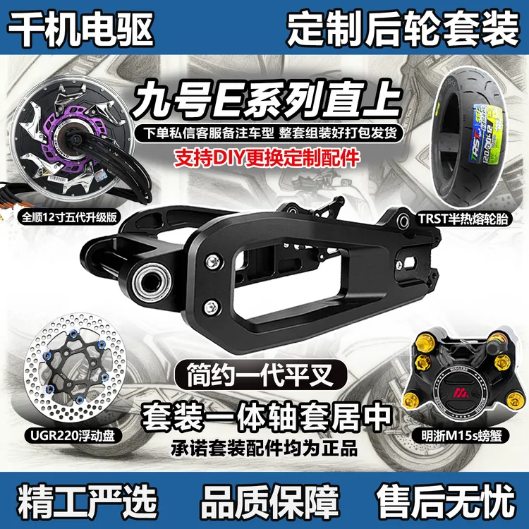 简约一代平叉九号E系后轮套装N系列E系200P/100/80C等直上mk2电机