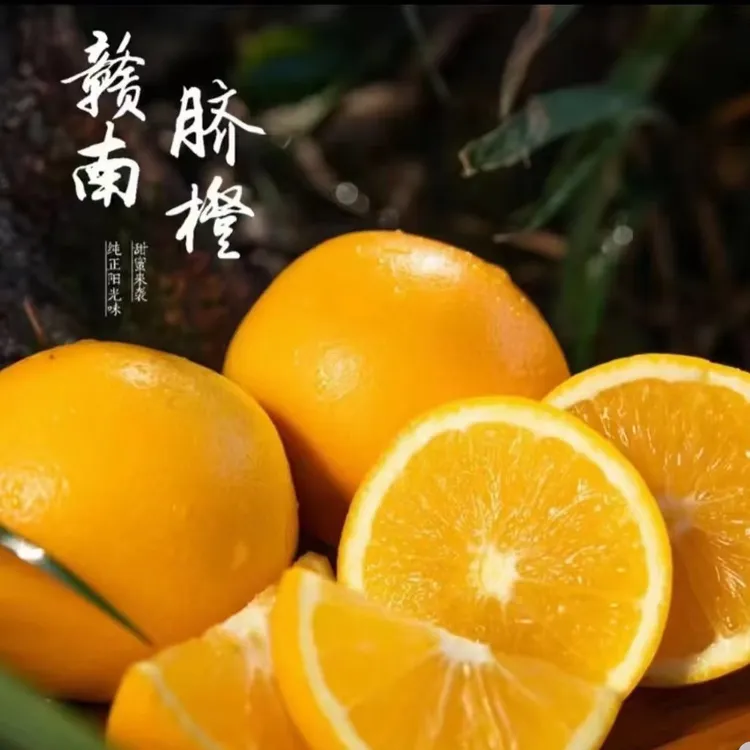 正宗赣南脐橙 中果【果园现摘现发】新鲜 橙味