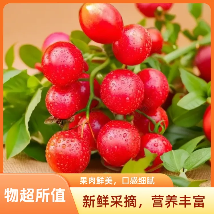 千禧小番茄圣女果新鲜采摘生吃红皮润甜多汁的小水果