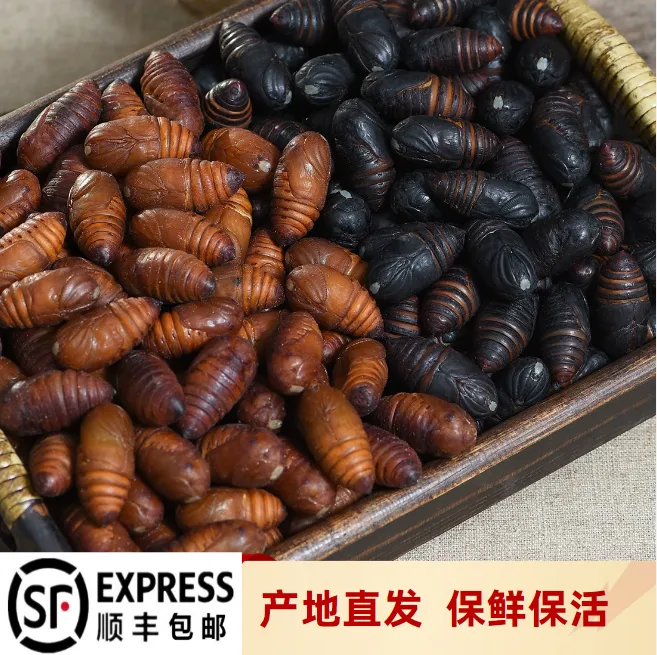 【二斤包邮】 东北鲜活柞树蛹 现割现发 鲜活到家 高营养 老少皆宜