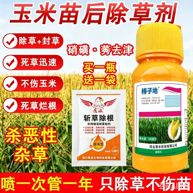 玉米苗后专用除草剂不伤玉米封草烂根适用于大田玉米甜糯达人专属