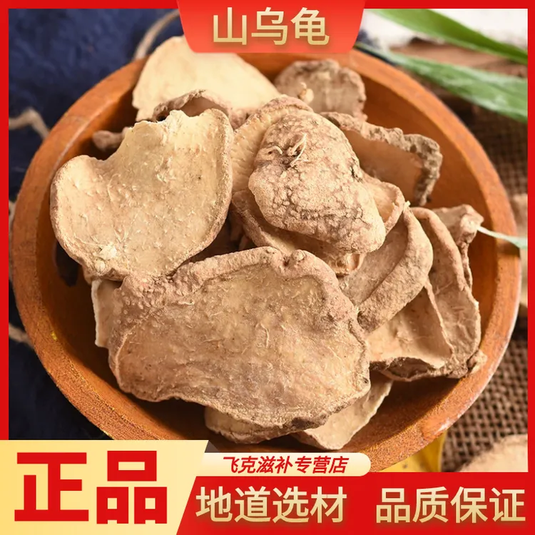 山乌龟地不容金不换千金藤根野生正品金线吊乌龟新鲜干货非杜仲