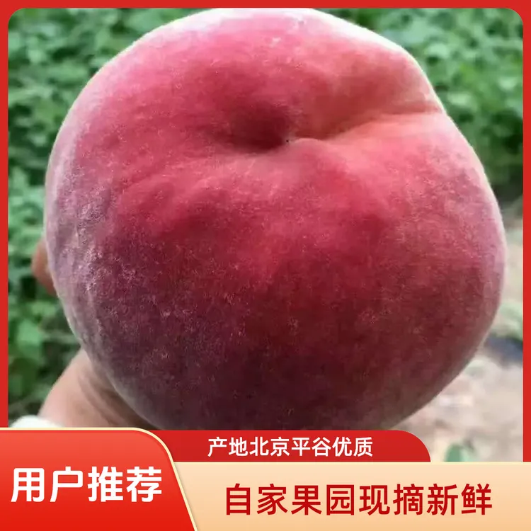 【北京平谷大桃】自家果园现摘水蜜桃脆软两吃鲜甜多汁应季水果直发