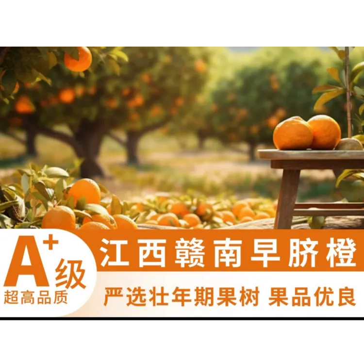 【京东快递】正宗江西赣南脐橙 新鲜应季水果 现摘现发 皮薄多汁