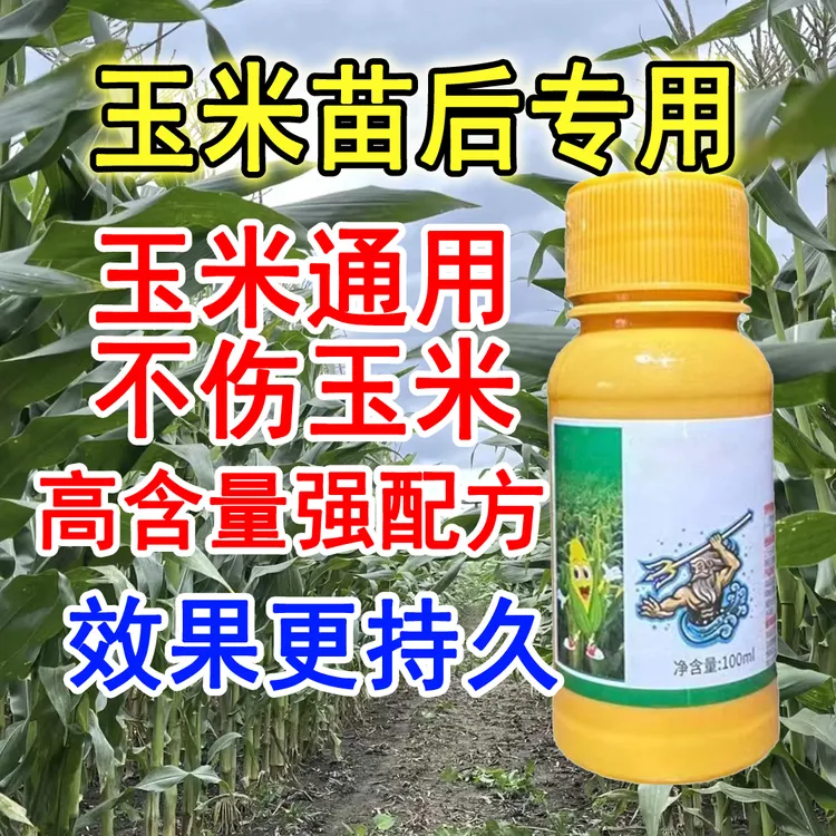 玉米苗后专用不伤玉米农田大田玉米专用水溶喷施技术肥