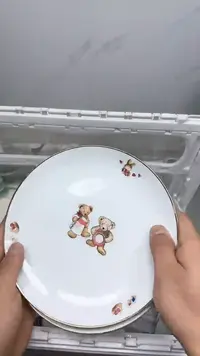 【闪购商品】043回流瓷器默认微瑕，18.8包邮