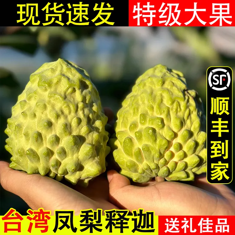 【京东＋顺丰】台湾牛奶凤梨释迦果当季释迦摩尼果番荔枝特大果水果