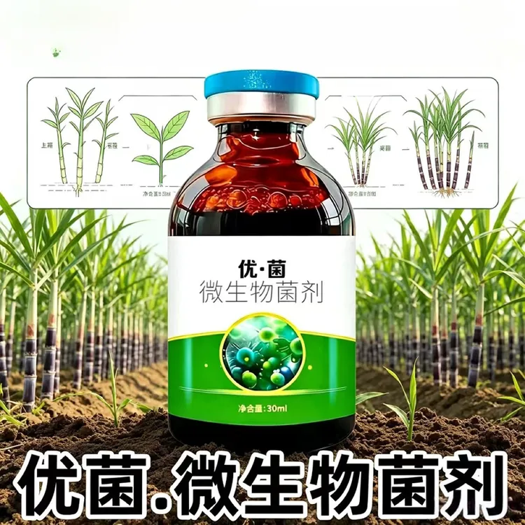 甘蔗微生物菌剂优菌商品图