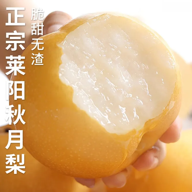 莱阳秋月梨当季时令水果现摘水果礼盒中秋送礼国庆礼品
